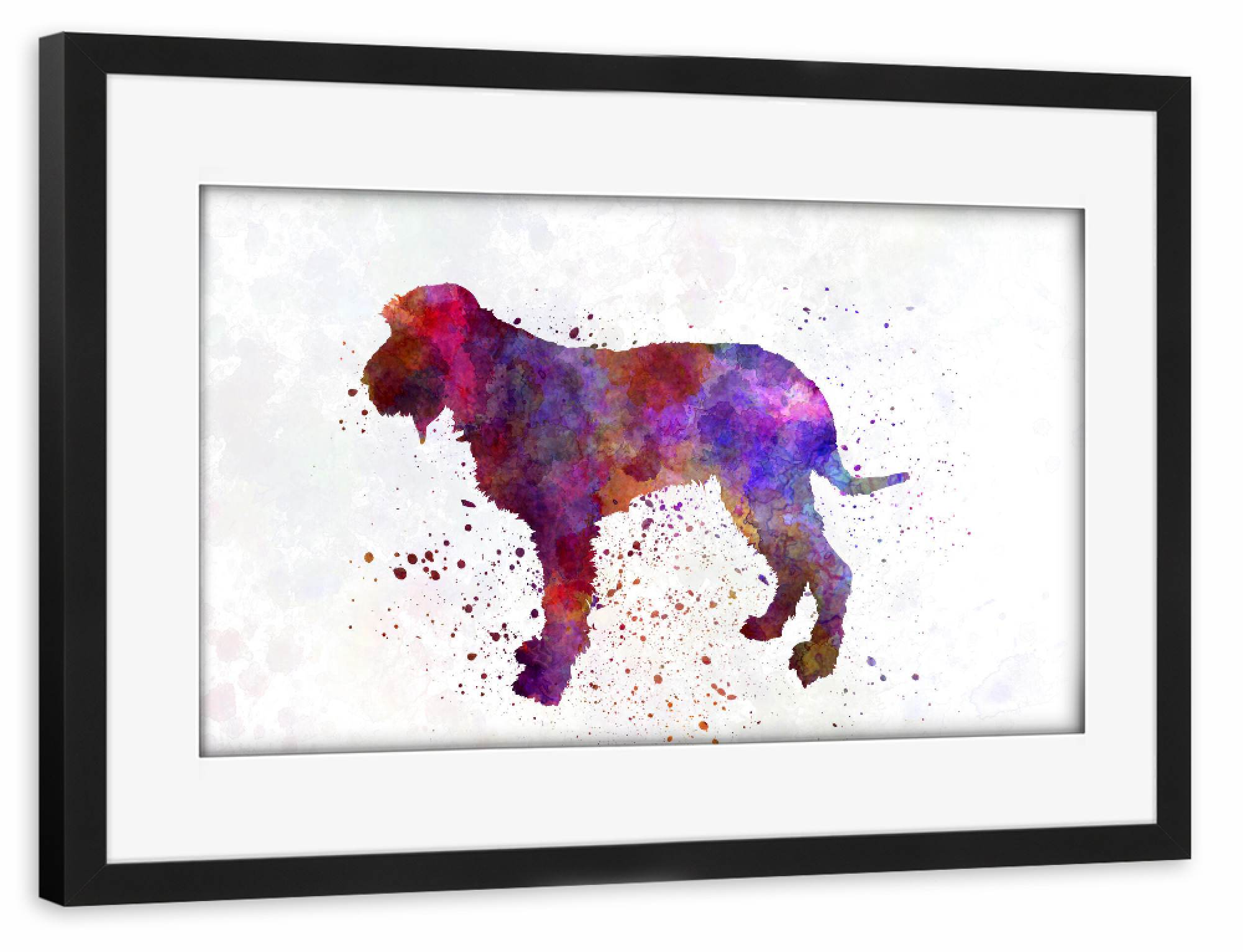 Poster mit Rahmen schwarz "Blue Gascony Griffon in watercolor" artboxONE - Tiere