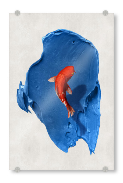 Acrylglasbild "Blue Fish" artboxONE - Natur,Tiere - Brush,Fish,Ink,Blue,Fisch,Bunt,Colorful,Collage