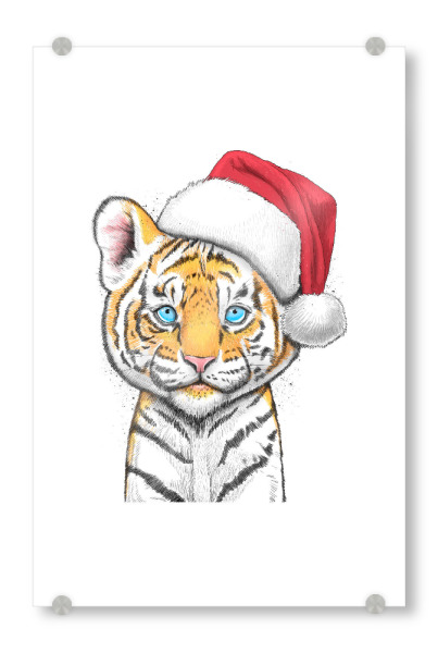 Acrylglasbild "Tiger in a hat" artboxONE - Tiere,Weihnachten