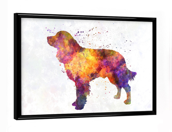 Poster mit schwarzem Rahmen "American Water Spaniel" artboxONE - Tiere,Abstrakt