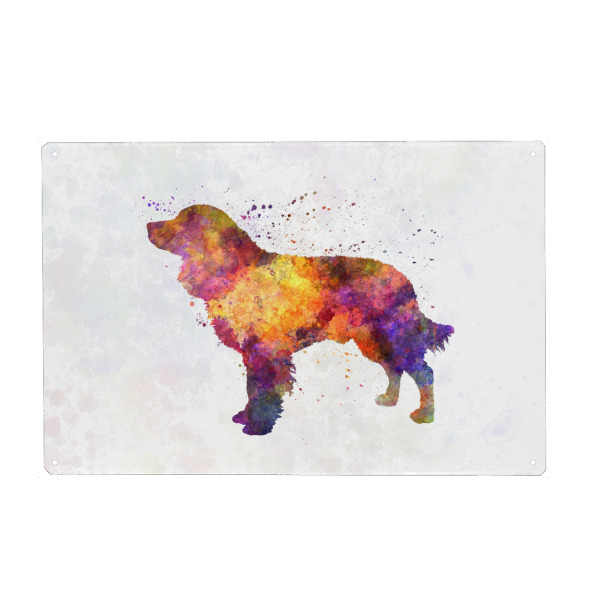 Holzbild "American Water Spaniel" artboxONE - Tiere,Abstrakt - Dog,Pet,Childish,Watercolor,Decorative,Children's decoration,Animal,Animals,Dogs