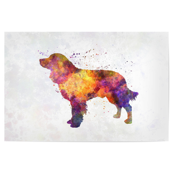 Poster 30x20 cm "American Water Spaniel" artboxONE - Tiere,Abstrakt - Dog,Pet,Childish,Watercolor,Decorative,Children's decoration,Animal,Animals,Dogs
