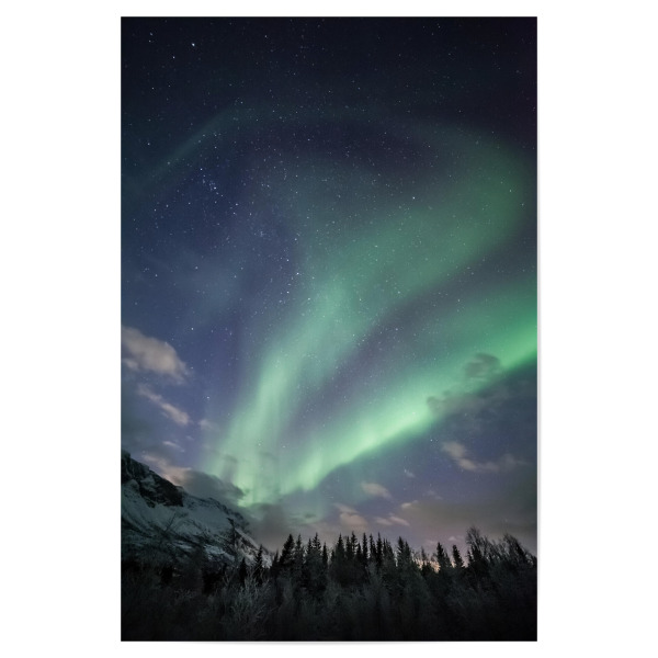 Poster "Polarlicht in Norwegen" artboxONE - Natur,Galaxy