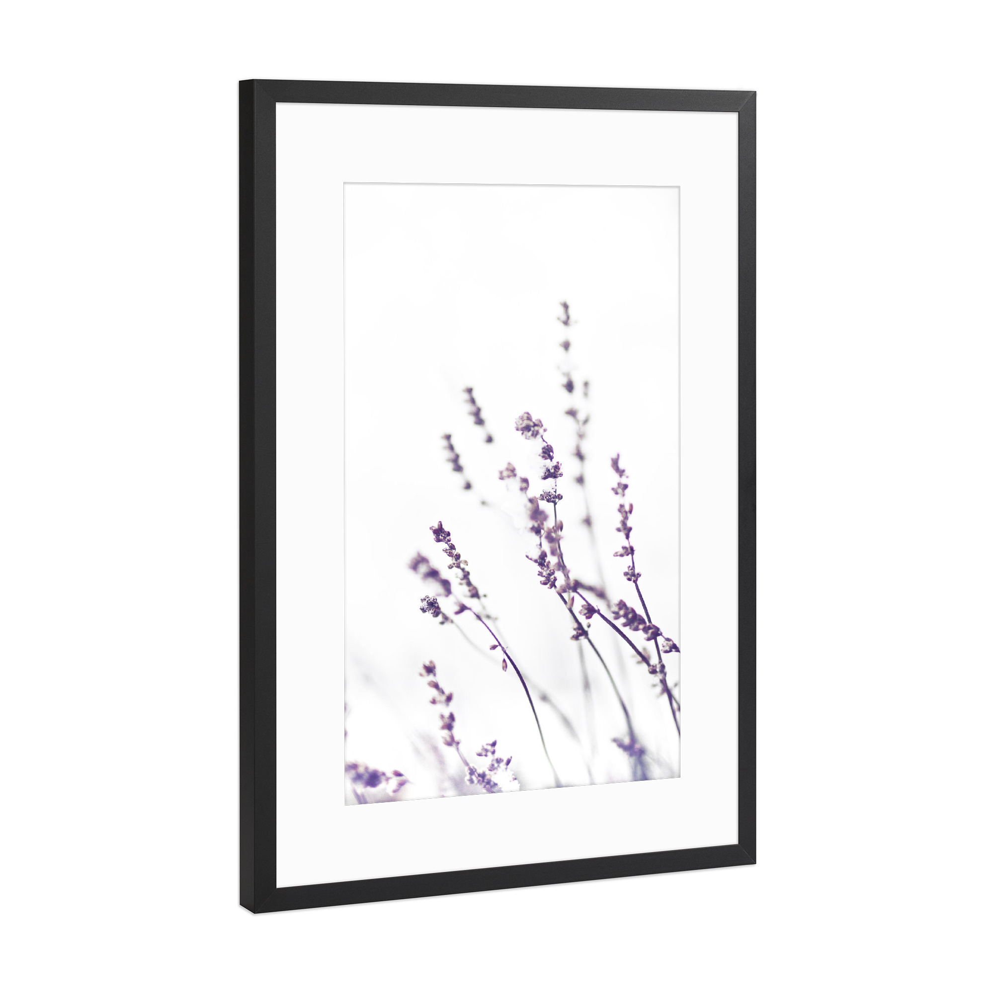 Poster mit Rahmen Schwarz (Metallic) "Winter Lavendel" artboxONE - Natur,Floral,Abstrakt