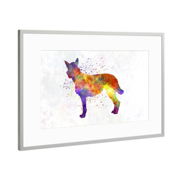 Poster mit Rahmen Silber "Bouvier des Ardennes in watercolor" artboxONE - Tiere,Abstrakt