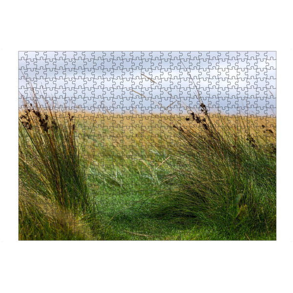 Puzzle Ravensburger "Wiesen am Meer im Morgentau" artboxONE - Natur,Reise,Reise / Strand und Meer