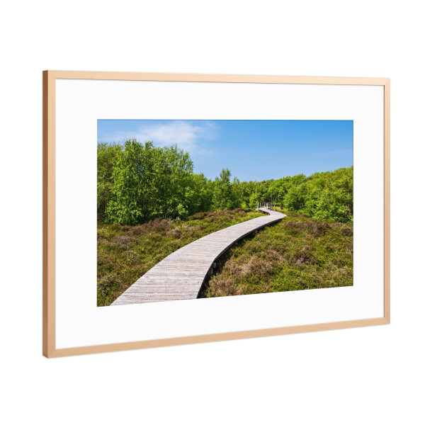 Poster mit Rahmen Kupfer "Bohlenweg und Bäume" artboxONE - Natur,Reise,Architektur