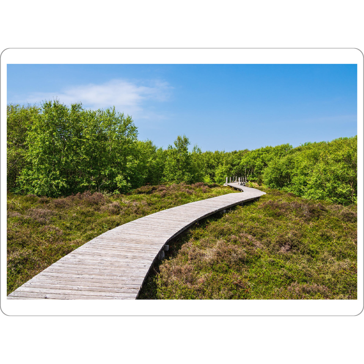Tischset "Bohlenweg und Bäume" artboxONE - Natur,Reise,Architektur