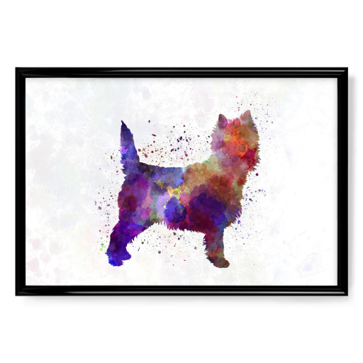 Cairn Terrier in watercolor
