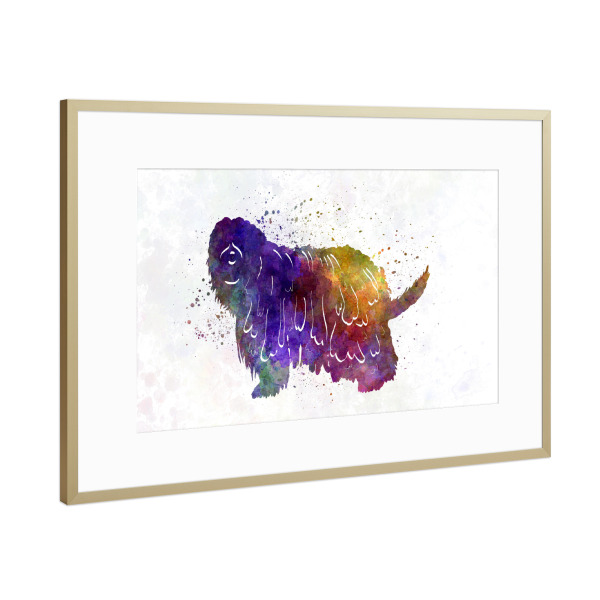 Poster mit Rahmen Gold "Bergamasco Shepherd in watercolor" artboxONE - Tiere