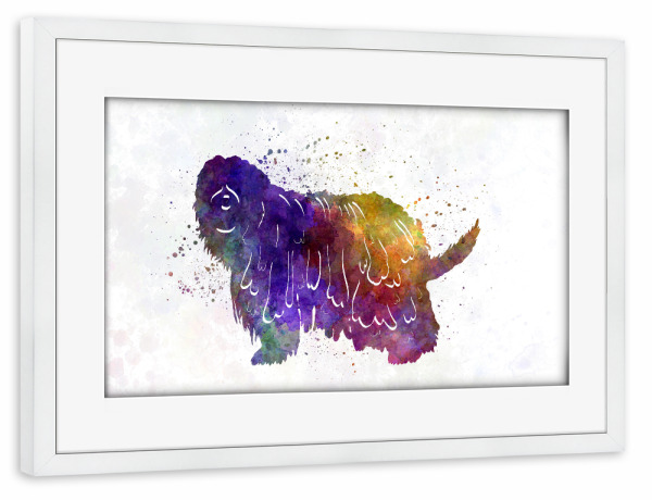 Poster mit Rahmen weiß "Bergamasco Shepherd in watercolor" artboxONE - Tiere