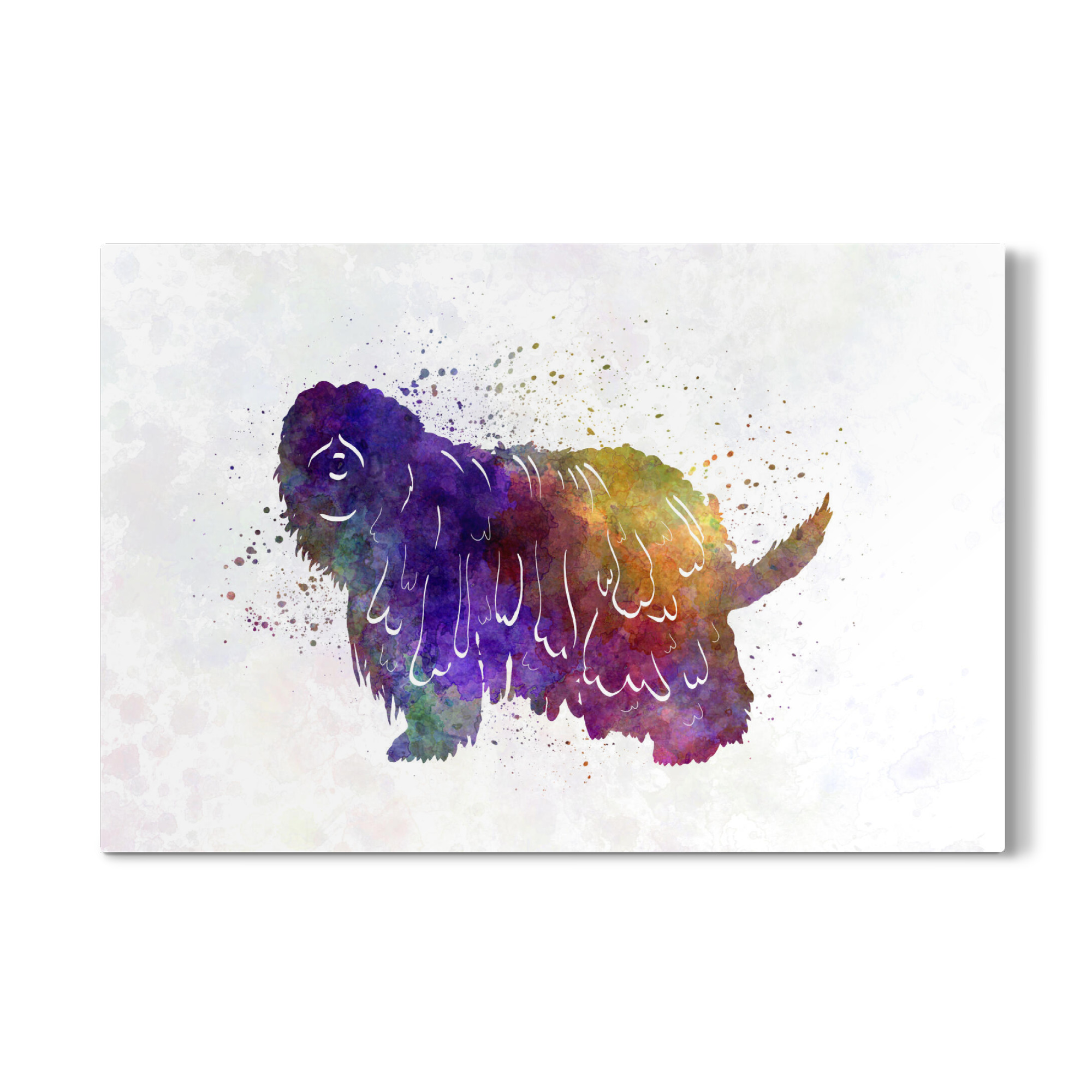 Galerie-Print "Bergamasco Shepherd in watercolor" 30x20 cm artboxONE