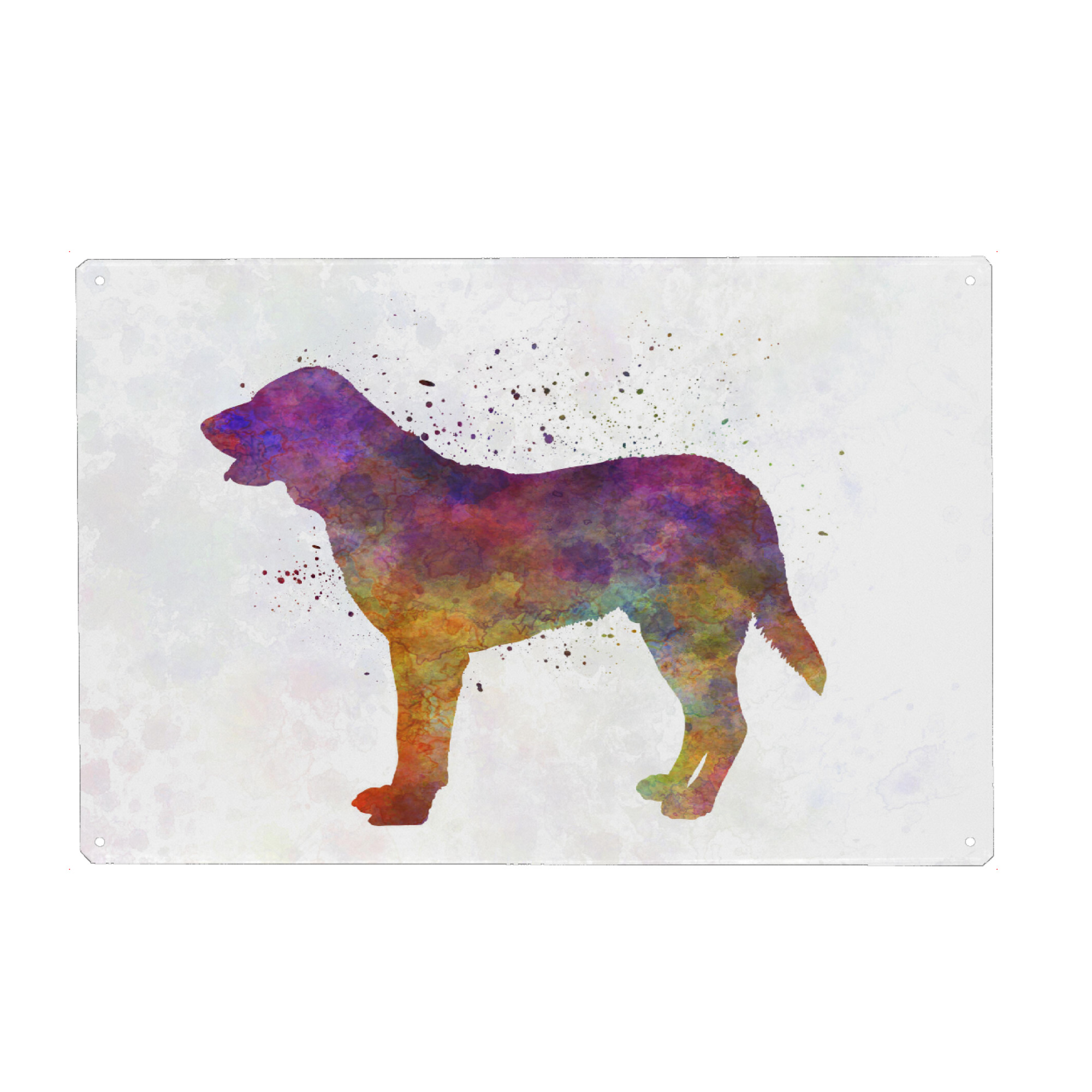 Metall Poster "Castro Laboreiro Dog" artboxONE - Tiere,Abstrakt