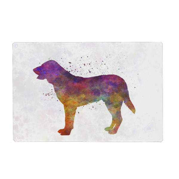 Metall Poster "Castro Laboreiro Dog" artboxONE - Tiere,Abstrakt