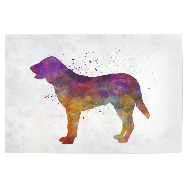 Poster "Castro Laboreiro Dog" artboxONE - Tiere,Abstrakt