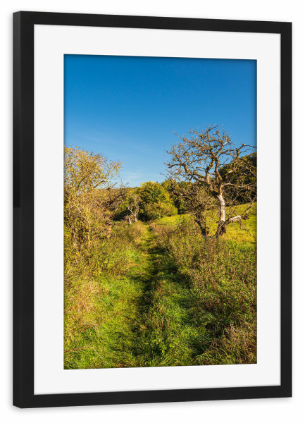 Poster mit Rahmen schwarz "Weg, Gras und Bäume" artboxONE - Natur,Reise