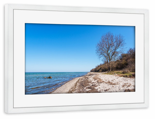 Poster mit Rahmen weiß "Baum und Strand auf Poel" artboxONE - Natur,Reise,Reise / Strand und Meer