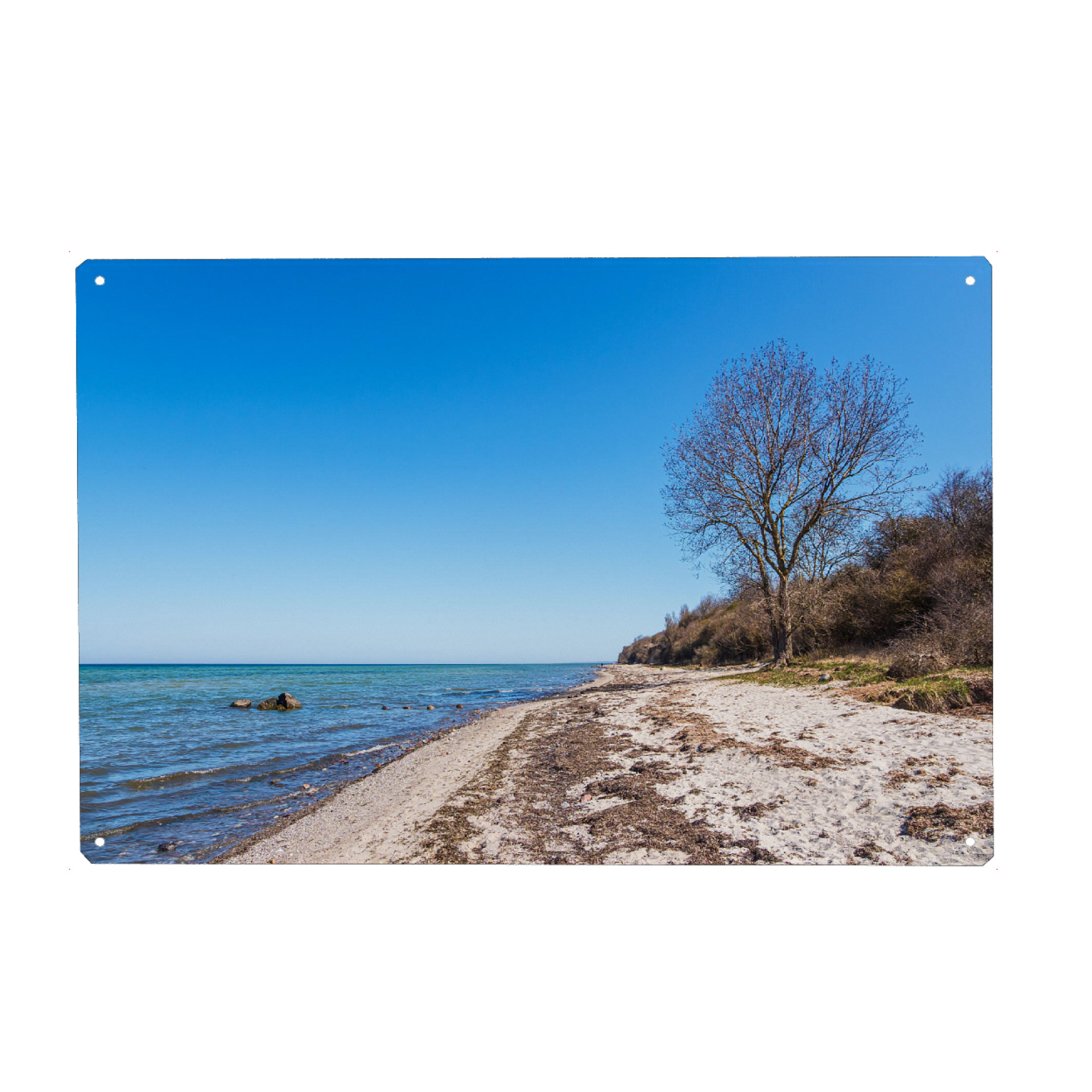 Holzbild "Baum und Strand auf Poel" artboxONE - Natur,Reise,Reise / Strand und Meer