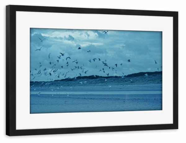 Poster mit Rahmen schwarz "Fliegende Möwen" artboxONE - Natur,Reise,Tiere,Reise / Strand und Meer