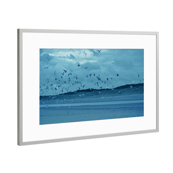 Poster mit Rahmen Silber "Fliegende Möwen" artboxONE - Natur,Reise,Tiere,Reise / Strand und Meer
