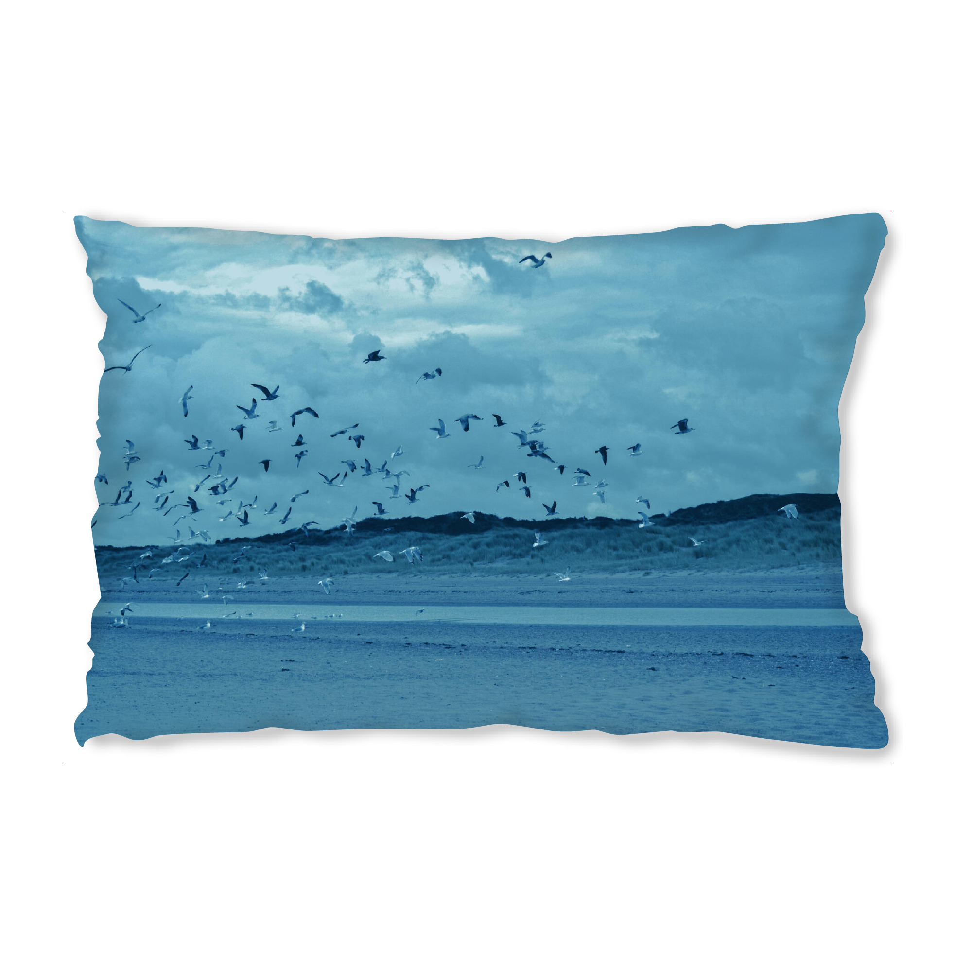 Design-Kissen "Fliegende Möwen" artboxONE - Natur,Reise,Tiere,Reise / Strand und Meer