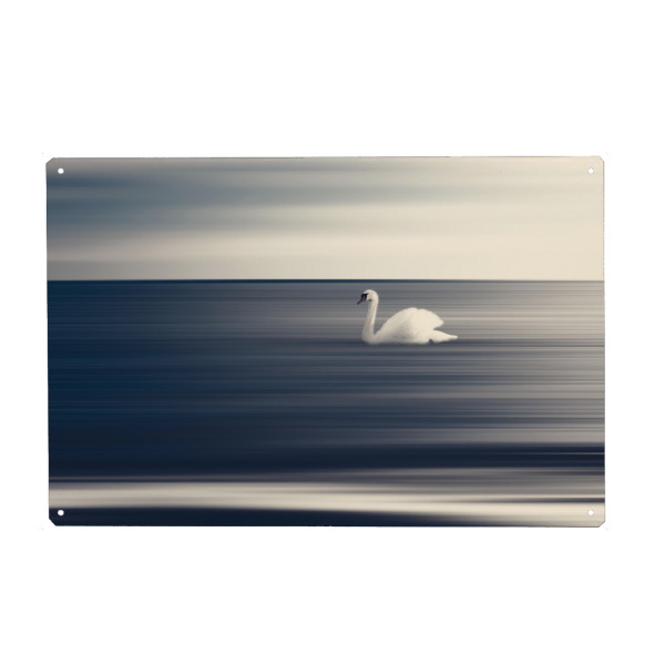 Holzbild "Schwan auf grauem Hintergrund" artboxONE - Natur,Tiere