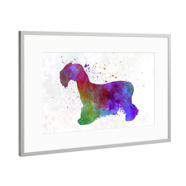 Poster mit Rahmen Silber "Cesky Terrier in watercolor" artboxONE - Tiere,Abstrakt