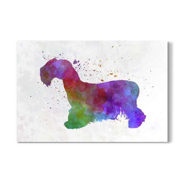 Galerie-Print "Cesky Terrier in watercolor" 30x20 cm artboxONE