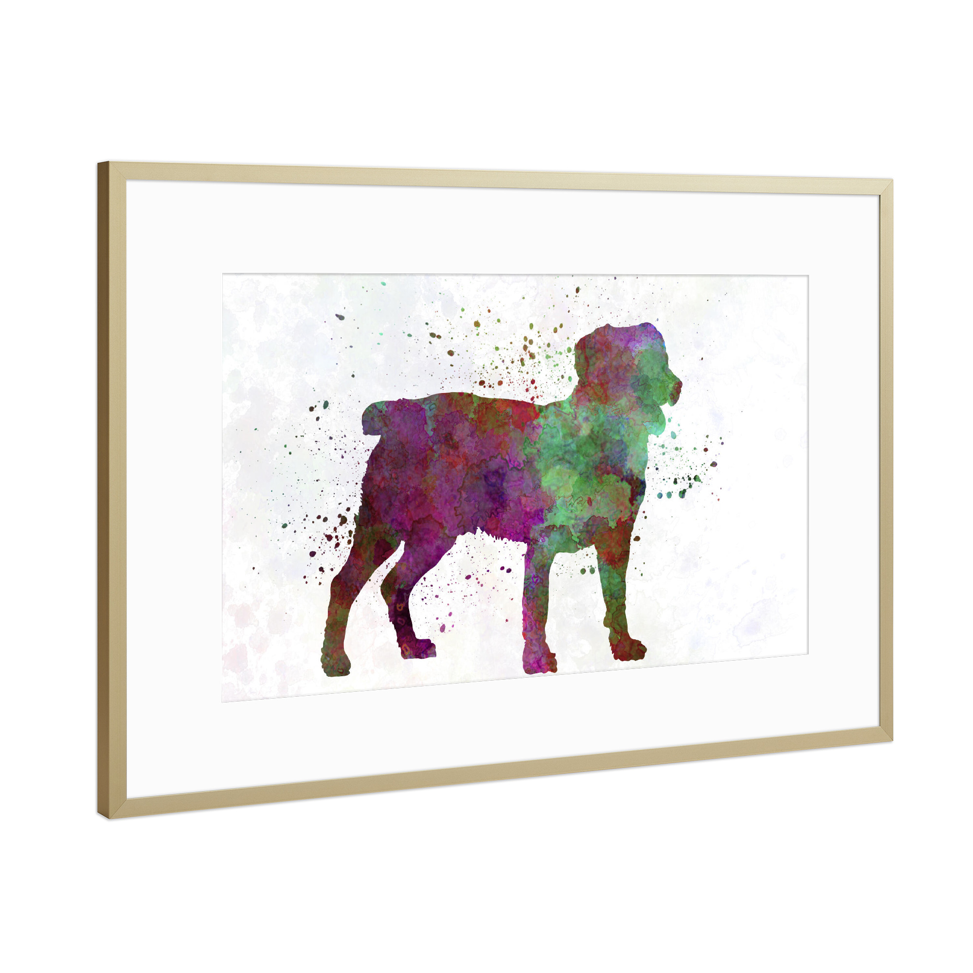 Poster mit Rahmen Gold "Appemzell Cattle Dog in watercolor" artboxONE - Tiere,Abstrakt