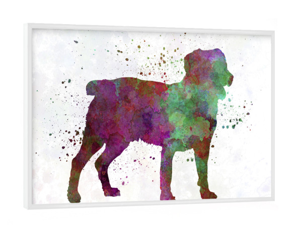 Poster mit weißem Rahmen "Appemzell Cattle Dog in watercolor" artboxONE - Tiere,Abstrakt