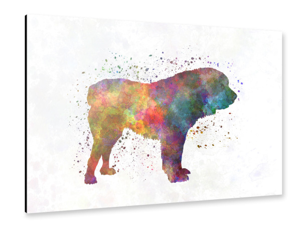 Alu-Dibond "Central Asian Shepherd Dog" 30x20 cm artboxONE