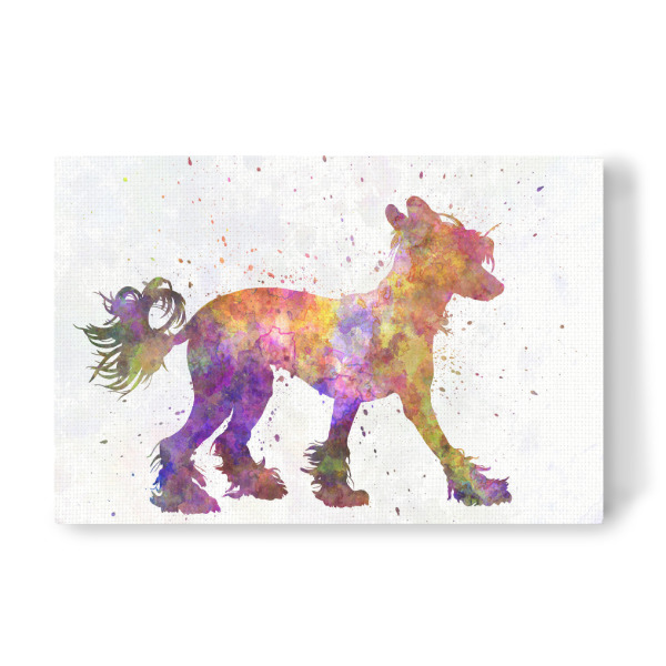Leinwandbild "Chinese crested dog" artboxONE - Tiere,Abstrakt