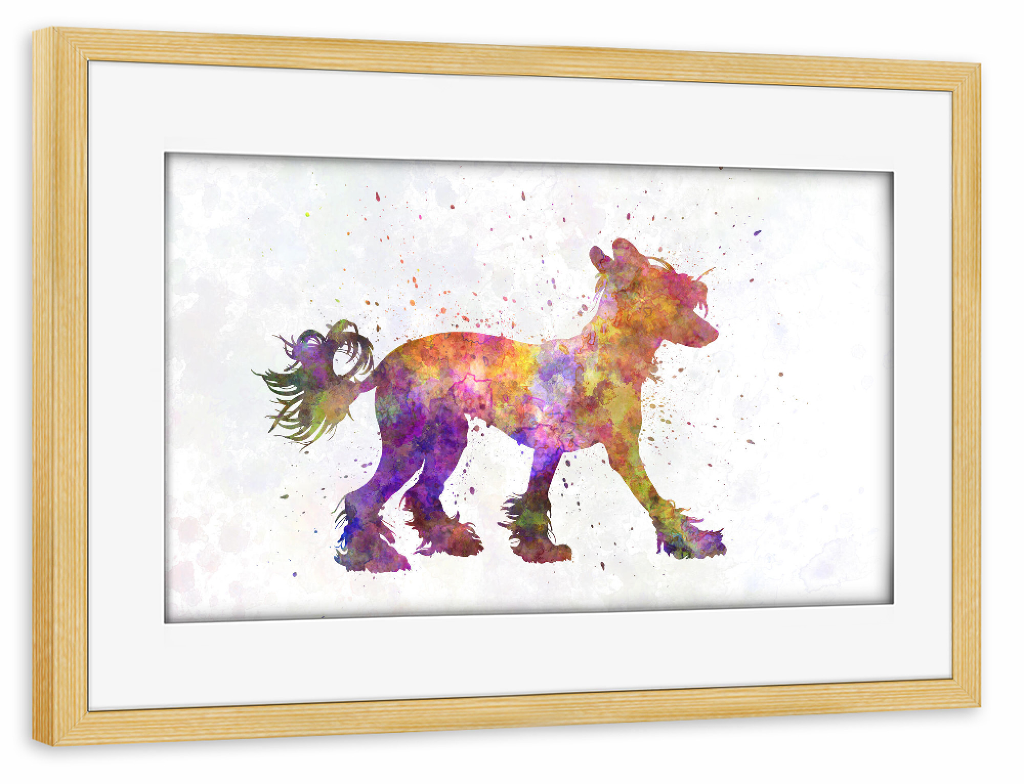 Poster mit Rahmen kiefer "Chinese crested dog" artboxONE - Tiere,Abstrakt