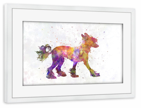 Poster mit Rahmen weiß "Chinese crested dog" artboxONE - Tiere,Abstrakt