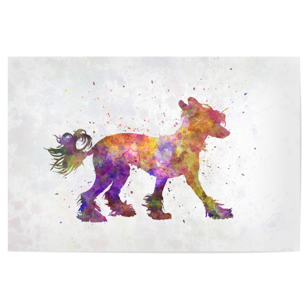 Poster 30x20 cm "Chinese crested dog" artboxONE - Tiere,Abstrakt