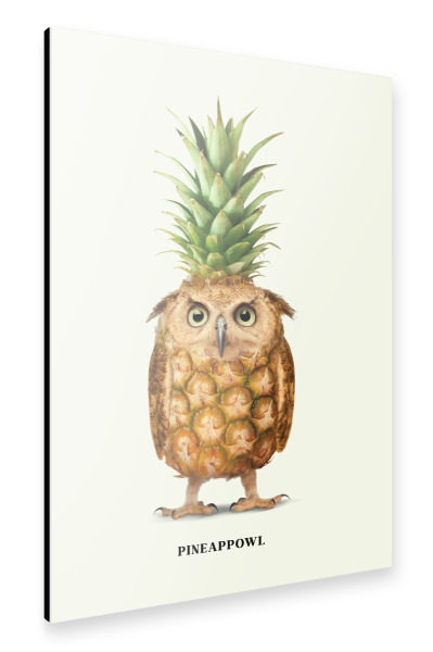 Alu-Dibond "Pineappowl" 30x20 cm artboxONE