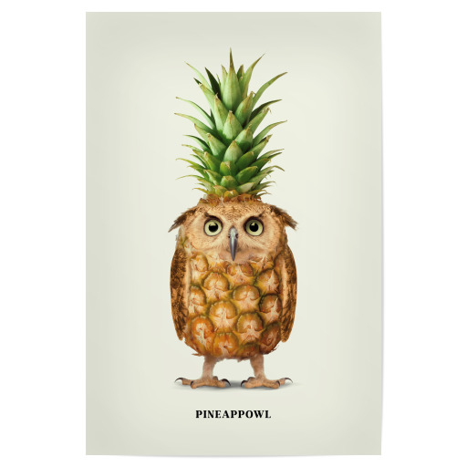 Pineappowl