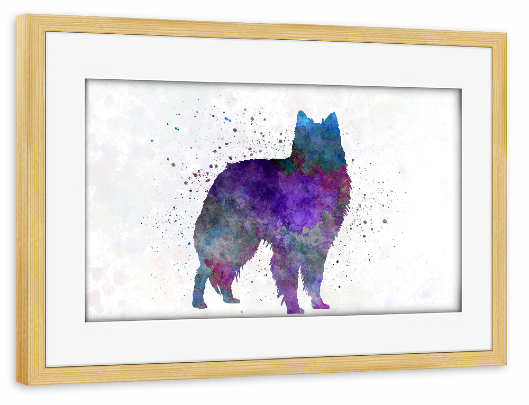 Poster mit Rahmen kiefer "Belgian Shepherd Dog in watercolor" artboxONE - Tiere