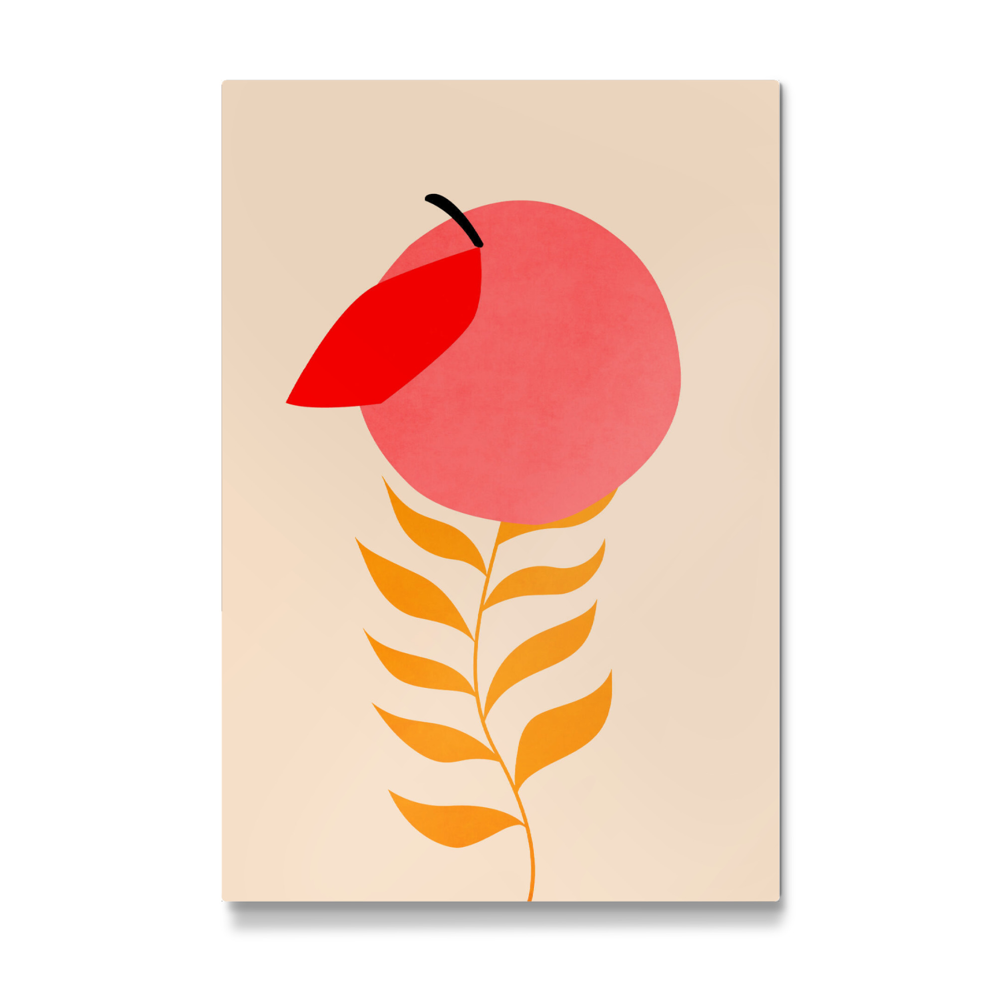 Galerie-Print "Little Peach" 30x20 cm artboxONE