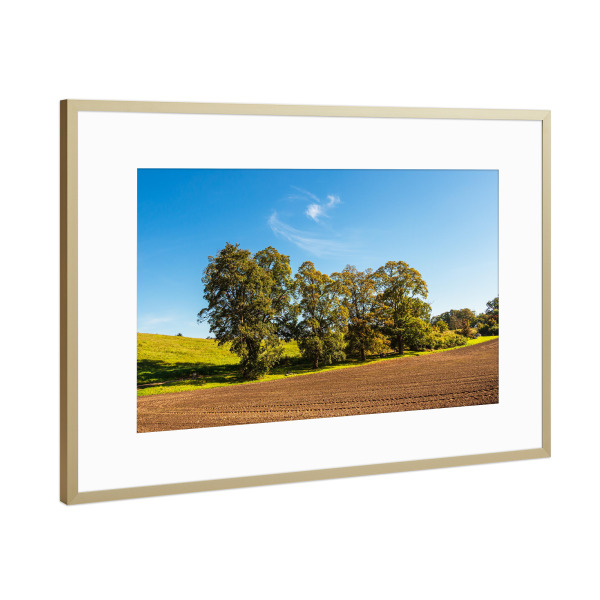 Poster mit Rahmen Gold "Bäume, Acker und Wolken" artboxONE - Natur,Reise