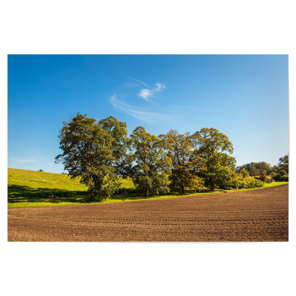 Poster 30x20 cm "Bäume, Acker und Wolken" artboxONE - Natur,Reise
