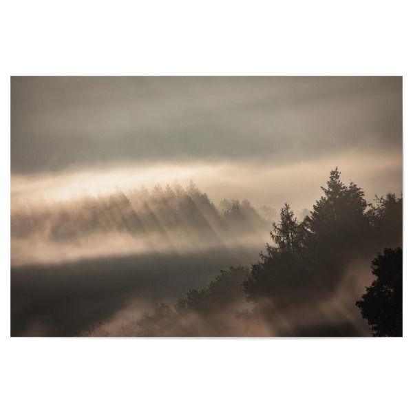Poster "Nebliger Morgen in der Pfalz" artboxONE - Natur