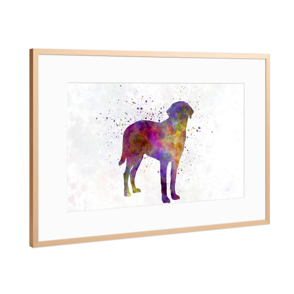 Poster mit Rahmen Kupfer "Broholmer in watercolor" artboxONE - Tiere,Abstrakt