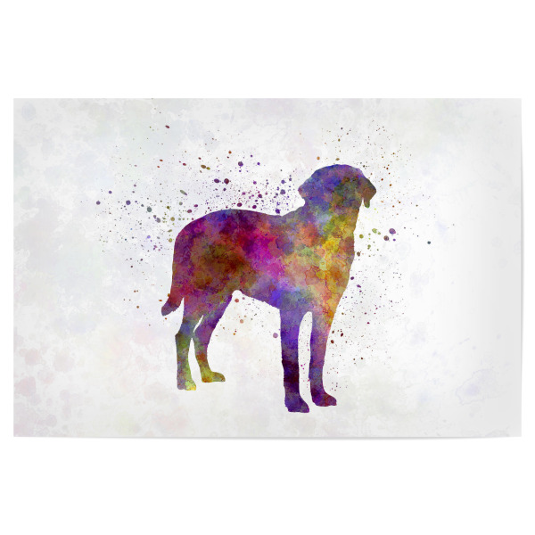 Poster 30x20 cm "Broholmer in watercolor" artboxONE - Tiere,Abstrakt