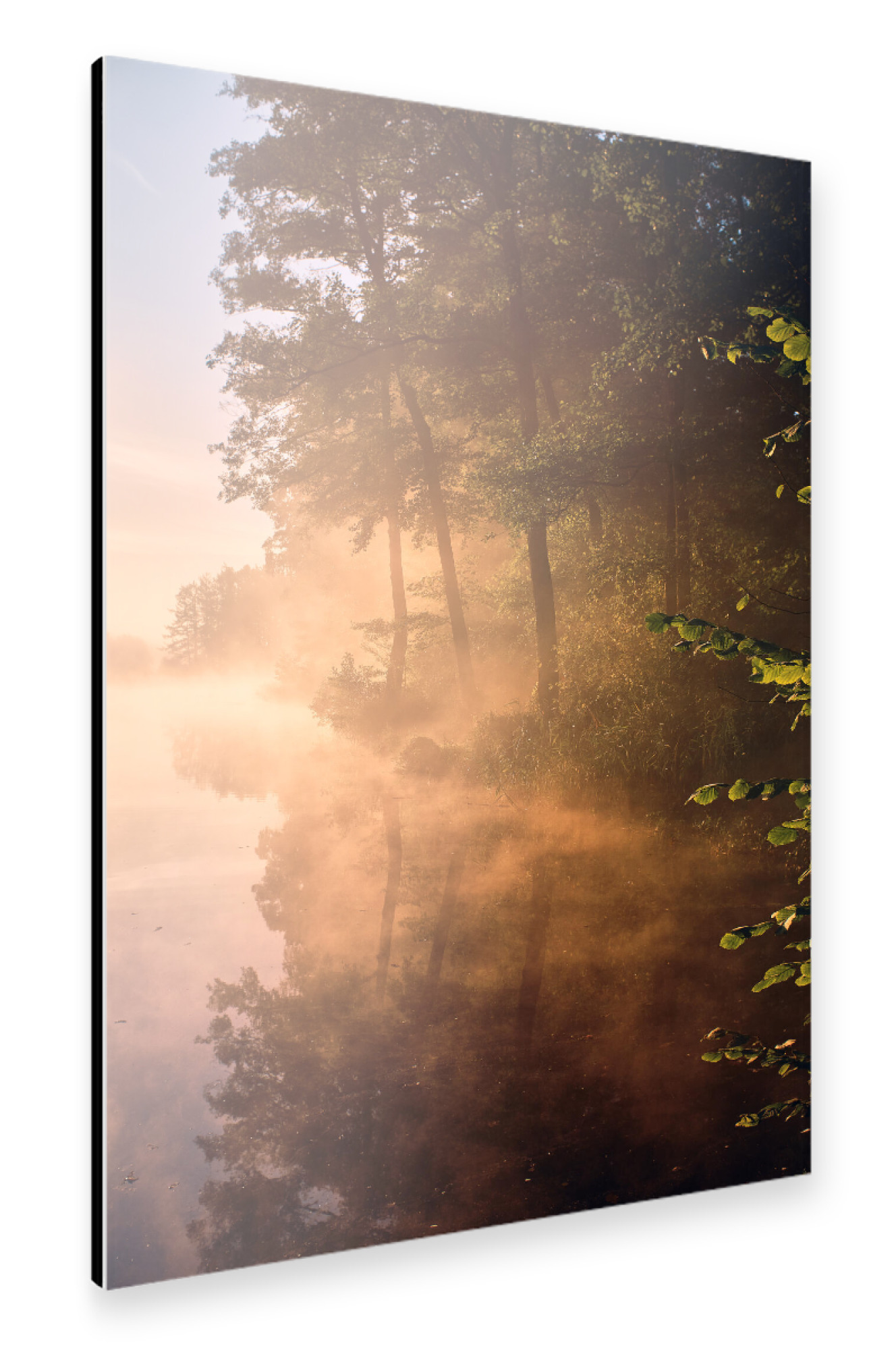 Alu-Dibond "Goldener Herbstnebel" 75x50 cm artboxONE