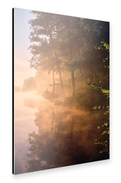 Alu-Dibond "Goldener Herbstnebel" 30x20 cm artboxONE