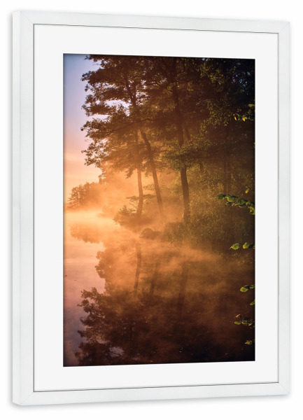 Poster mit Rahmen weiß "Goldener Herbstnebel" artboxONE - Natur,Reise