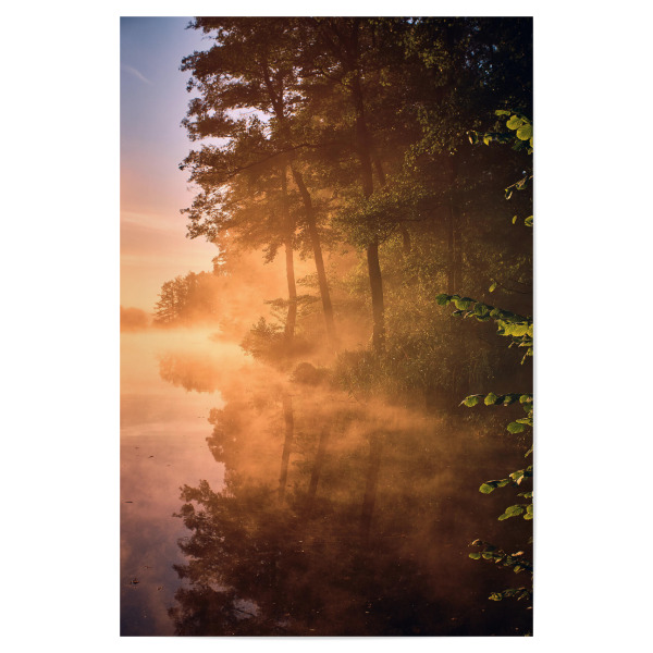 Poster 30x20 cm "Goldener Herbstnebel" artboxONE - Natur,Reise