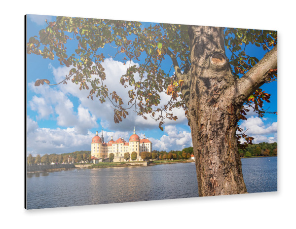 Alu-Dibond "Baum und Schloss Moritzburg" 30x20 cm artboxONE