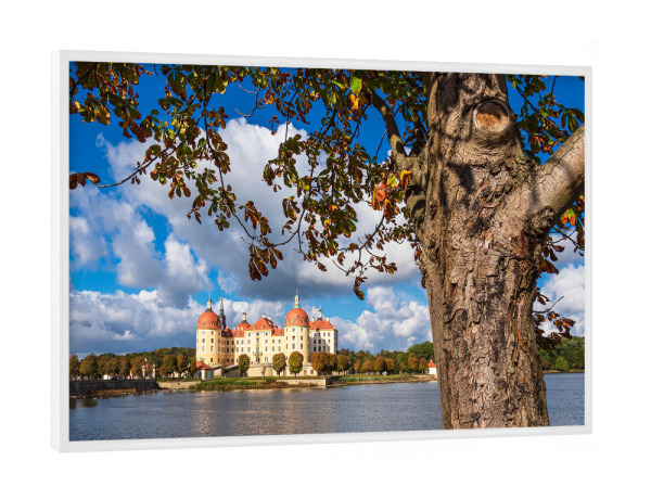 Poster mit weißem Rahmen "Baum und Schloss Moritzburg" artboxONE - Natur,Reise,Architektur